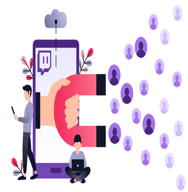 Can it be understood that Twitch Followers have been purchased?